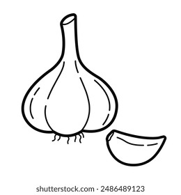 Garlic and clove. Simple outline illustration, isolated on white background. Design element