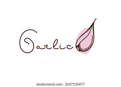 Garlic clove Spice. Doodle sketch vector illustration with inscription on white background. Seasoning for food. Organic product sketch for packaging, sales, shops sign. Flavor cooking ingredient.