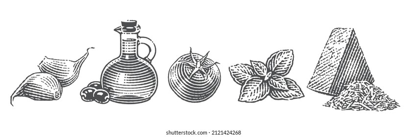 Garlic cloves, cheese, Cherry tomatoes, olive oil jar and basil. Hand drawn engraving style illustrations. Vector illustration.