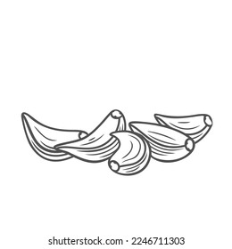 Knoblauchzehen Linie Symbol Vektorgrafik. Handgezeichnet umrissene Gruppe von frischen ganzen Knoblauchklühlen in Schale, Gewürzpflanze und rohem vegetarischem Lebensmittelzutat, um würziges leckeres Essen in der Küche zu kochen