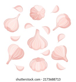 Garlic and garlic cloves vector illustration. Set of garlic isolated on white background. Illustration of vegetables vegan food.