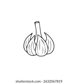 Alho cravo - todo e descascado Clove Vetor Ilustração