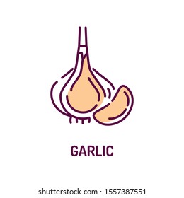 Garlic color line icon. Natural vegetable sign. Spice for cooking. Healthy, organic food concept. Cooking ingredient. Pictogram for web page, mobile app. UI UX GUI design element. Editable stroke.