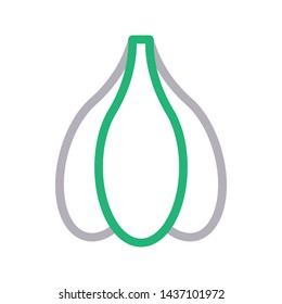 garlic color line vector icon