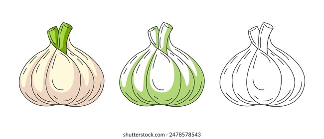 Garlic, colorful and line icons set. Farm vegetable vector outline icon, monochrome and color illustration. Healthy nutrition, organic food, natural product. For sticker, logo, coloring book