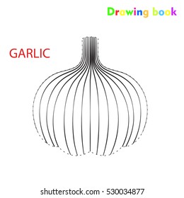 Garlic coloring and drawing book vegetable design illustration 
