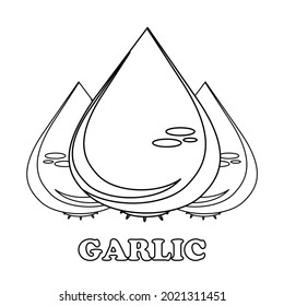 garlic coloring page. healthy food coloring page for children. on white background