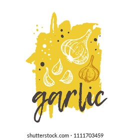 Garlic concept design. Hand drawn vector illustration. Herbs and spices. Can be used for farmers market, food festival, menu, cafe, restaurant, bar, poster, banner, emblem, sticker, placard.