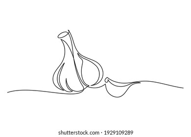 Garlic in continuous line art drawing style. Garlic bulb with separated clove minimalist black linear sketch isolated on white background. Vector illustration