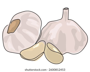 Garlic is in a continuous line drawn on a white background.