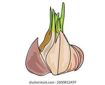 Garlic is in a continuous line drawn on a white background.