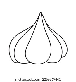 Garlic doodle flat illustration isolated on white background. Vector graphics design