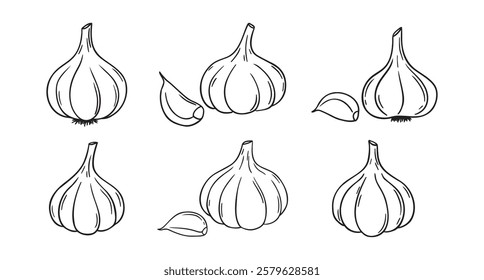 garlic doodle hand drawn icon set. Outline drawing garlic line clipart symbol collection. Vector illustration