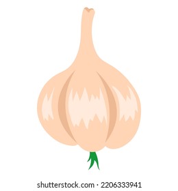 Garlic doodle icon isolated on white background