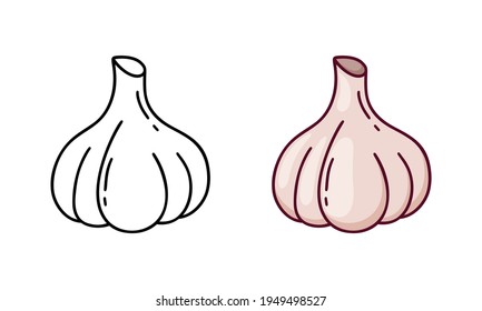 Garlic doodle icon. Linear and color version. Black simple illustration of food ingredient. Contour isolated vector pictogram on white background