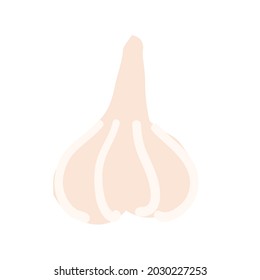 garlic doodle style vector element. handdraw 