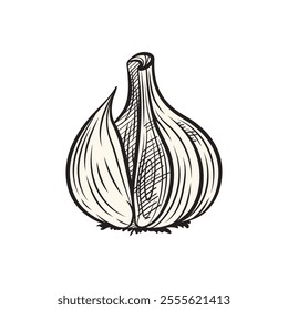 Garlic, Garlic Drawn Black And White Vector, Garlic Doodle Vector Illustration, Garlic Flavour Symbol Vector. 