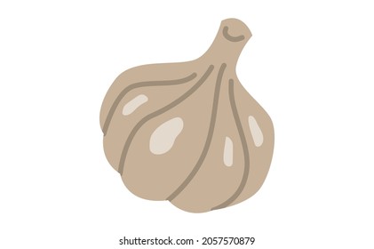 garlic flat design isolated on white background EPS 10.