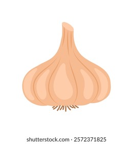 Garlic Flat Icon, Vector illustration