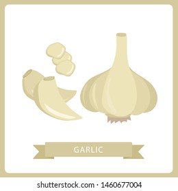 Garlic flat style. Isolated object. Garlic icon. Vegetable from the garden. Organic food. Vector illustration.