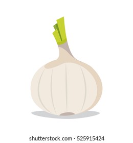 Garlic flat style. Isolated object. Vegetable from the garden. Organic food. Vector illustration.