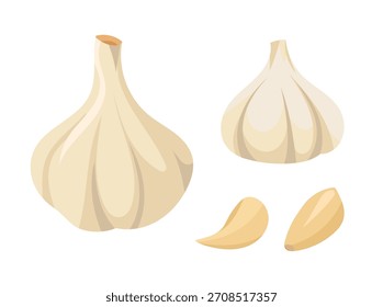 Ajo. Ilustración de Clipart de Vector plano con fondo aislado.