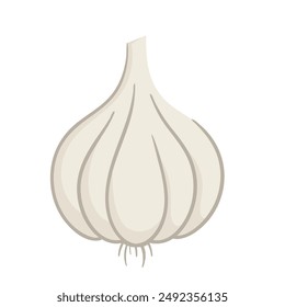 Knoblauch flache Vektorillustration Clipart