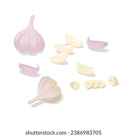 Juego de vectores planos de ajo. Bombilla de ajo entero, clavos de ajo e ilustración de rodajas al estilo de dibujos animados. Cortado, cortado ajo. Especias.
