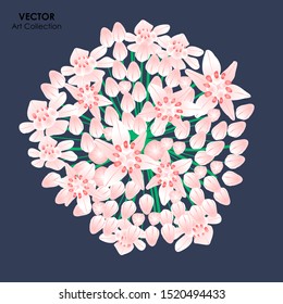 Garlic Flower isolate, Vector illustration design element