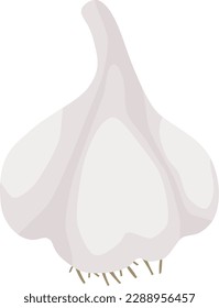 Garlic. Fresh vector illustration. A set of vegetables