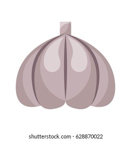 garlic fresh vegetable icon