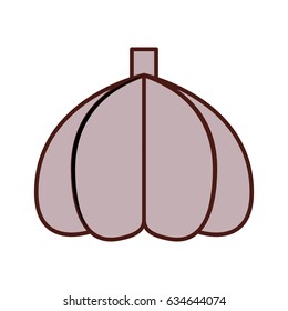 garlic fresh vegetable icon