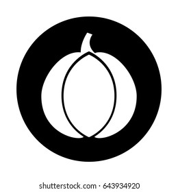 garlic fresh vegetable icon