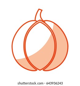 garlic fresh vegetable icon