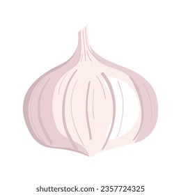 garlic fresh vegetable icon isolated