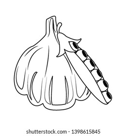 Garlic fresh vegetable isolated in black and white