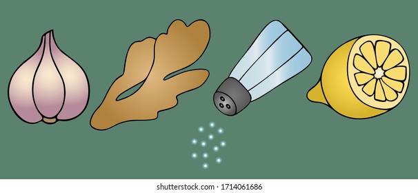 Garlic, ginger, salt and lemon. Fake assistants for an outbreak of coronavirus infection Covid-19. Vector set. Used in medicine and in cooking. Spices on an isolated green background. Cartoon style.