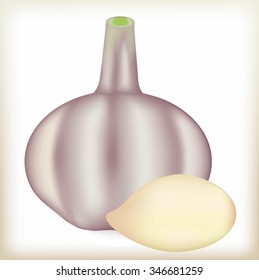 Garlic of gray color, bulb of garlic lies, a culinary product and healthy food, the vegetable for health isolated a garlic illustration
