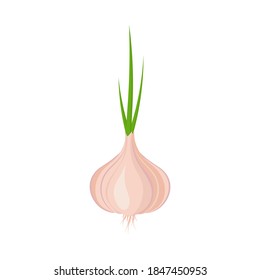 Garlic, and green onion, icon isolated on white background. Concept vegetable agriculture. Realistic cartoon design. Vector illustration.