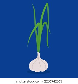 garlic with green stalk on blue background