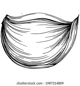 Garlic hand drawing vector sketch illustration. Engraved style. Product on the agricultural market. The best situated for design menu, label, badges, banners and promotion.
