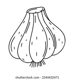 Ajo de estilo doodle dibujado a mano. Ilustración vectorial. Producto del mercado agrícola. Colorando la página del libro para los niños.