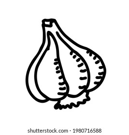 Garlic hand drawn illustration vector