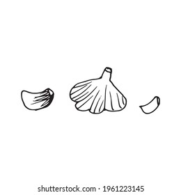 Knoblauch. Handgezeichnete Vektorgrafik für Logo, Druck. Schwarzes Doodle. Hand gezeichnete Doodle Style Realistische Illustration.Vektorgrafik.