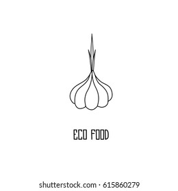 Garlic hand drawn vector illustration