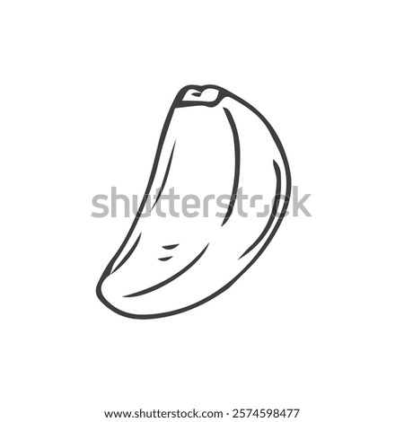 Garlic hand drawn vector illustration sketch. Isolated garlic, cloves