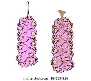 Garlic hanging in a stocking on a white background. Cartoon. Vector illustration.