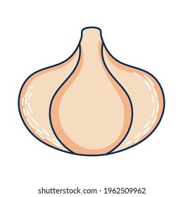garlic head icon on background