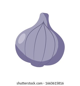 Knoblauch-Kopfsymbol auf weißem Hintergrund, Studioaufnahme, Vektorillustration