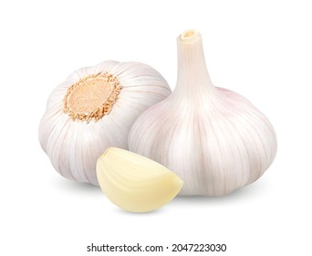 Garlic heads with clove. 3d Vector illustration isolated on white background